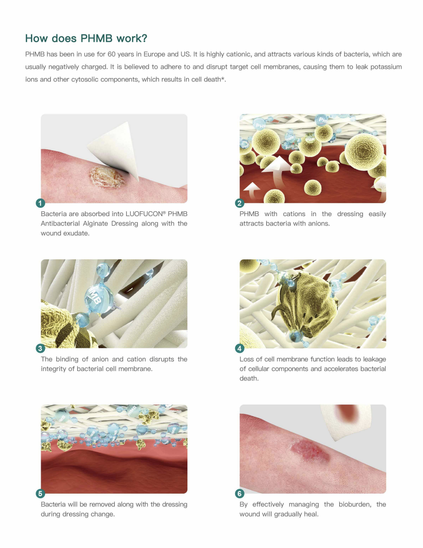 Medicazione sterile antibatterica in alginato PHMB ad alto assorbimento per emostasi